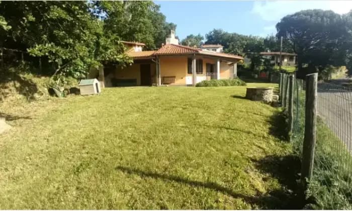 Rexer-Arcidosso-Villa-in-vendita-in-via-Fonte-Nuova-ad-Arcidosso-Giardino