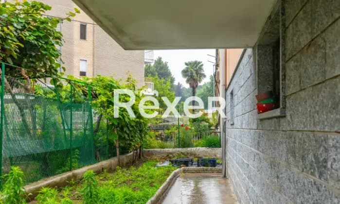 Rexer-Nichelino-Villetta-indipendente-con-giardino-Giardino