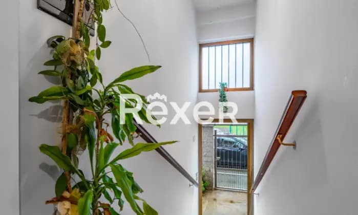 Rexer-Nichelino-Villetta-indipendente-con-giardino-Altro