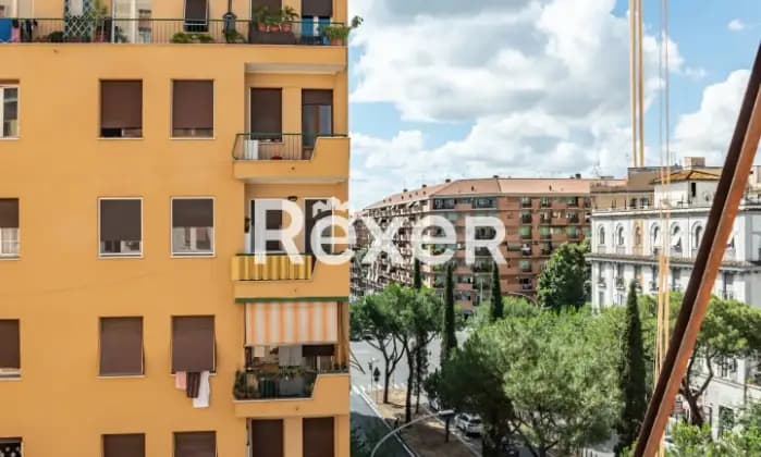 Rexer-Roma-Zona-Villa-Lazzaroni-Ampio-bilocale-al-piano-quinto-Giardino