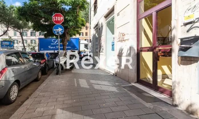 Rexer-ROMA-Zona-Villa-Lazzaroni-Ampio-bilocale-al-piano-quinto-Giardino