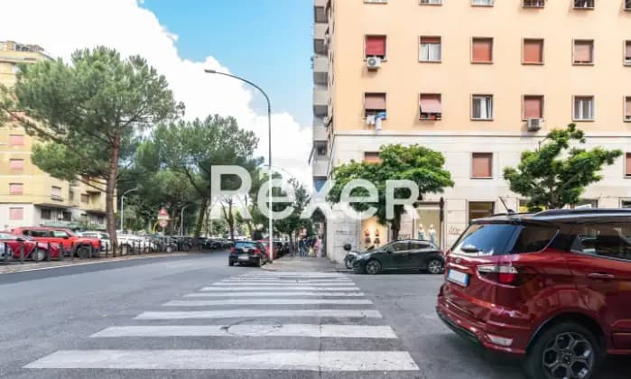 Rexer-ROMA-Zona-Villa-Lazzaroni-Ampio-bilocale-al-piano-quinto-Giardino