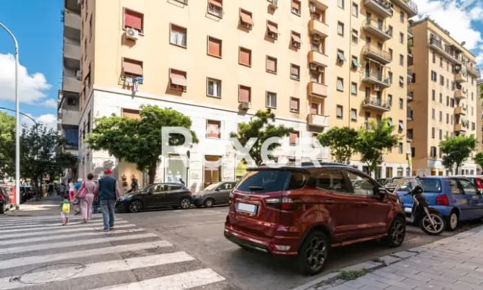 Rexer-ROMA-Zona-Villa-Lazzaroni-Ampio-bilocale-al-piano-quinto-Giardino