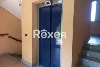 Rexer-CESATE-Appartamento-duplex-con-terrazzi-e-box-auto-Altro