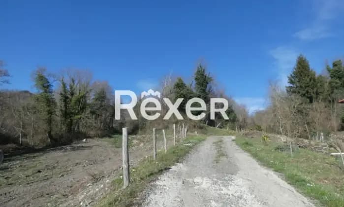 Rexer-VARESE-LIGURE-Varese-Ligure-Casa-patronale-con-ettari-di-terreni-Giardino