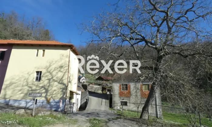 Rexer-VARESE-LIGURE-Varese-Ligure-Casa-patronale-con-ettari-di-terreni-Giardino