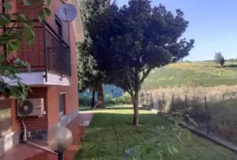 Rexer-Mombello-Monferrato-Villa-bifamiliare-Strada-Roccanina-Gaminella-Mombello-Monferrato-Giardino