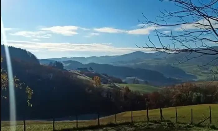 Rexer-Pellegrino-Parmense-Vendesi-Azienda-agricola-in-Localit-Vigoleni-Pellegrino-Parmense-Giardino