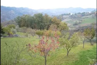 Rexer-Belmonte-del-Sannio-Contrada-Difesa-Belmonte-del-Sannio-Terrazzo