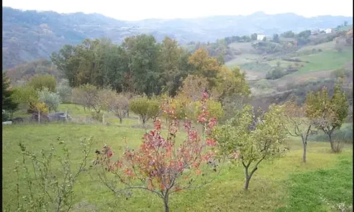 Rexer-Belmonte-del-Sannio-Contrada-Difesa-Belmonte-del-Sannio-Terrazzo