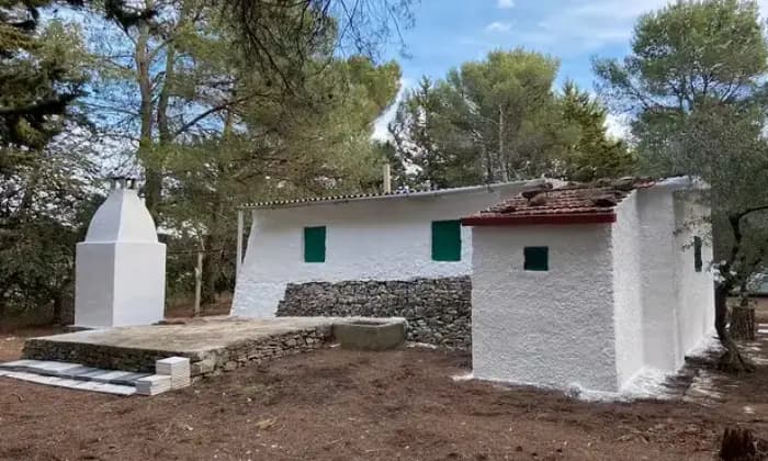 Rexer-Andria-Vendesi-casa-rurale-a-castel-del-Monte-di-Andria-Terrazzo