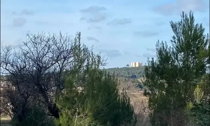 Rexer-Andria-Vendesi-casa-rurale-a-castel-del-Monte-di-Andria-Terrazzo