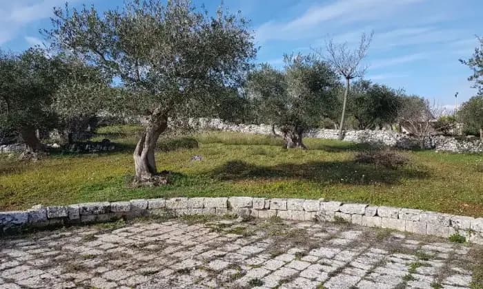 Rexer-Putignano-Vendesi-Trullo-in-strada-comunale-corcione-Putignano-Terrazzo