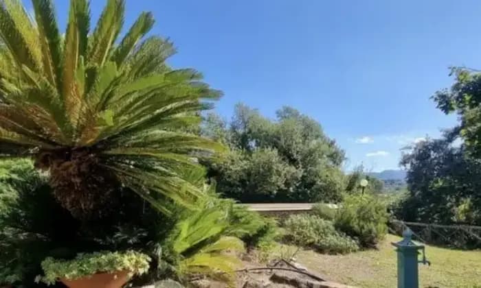 Rexer-Zagarolo-Villacasale-immersa-nel-verde-con-piscina-Giardino