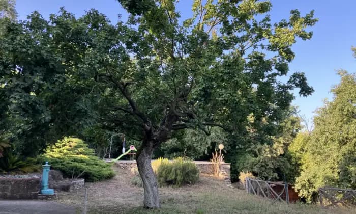 Rexer-Zagarolo-Villacasale-immersa-nel-verde-con-piscina-Giardino