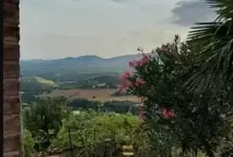 Rexer-Civitella-Paganico-Casa-in-pietra-in-vendita-in-via-del-Calvello-a-Civitella-Paganico-Giardino