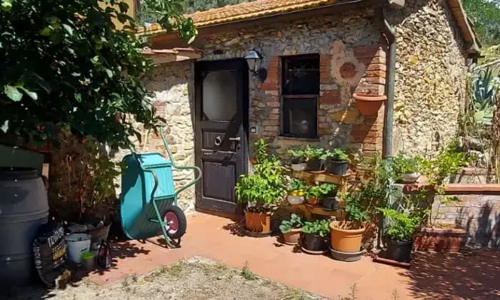 Rexer-Civitella-Paganico-Casa-in-pietra-in-vendita-in-via-del-Calvello-a-Civitella-Paganico-Giardino