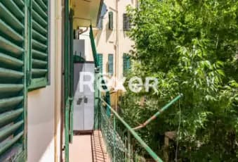 Rexer-Firenze-Dalmazia-Appartamento-di-vani-con-balcone-al-piano-primo-Terrazzo