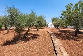 Rexer-Putignano-Abitazione-Trullo-su-Terreno-con-Ulivi-e-Mandorli-Terrazzo