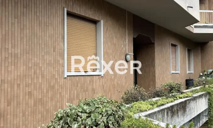 Rexer-Bollate-Bilocale-attualmente-locato-con-cantina-e-box-auto-Terrazzo