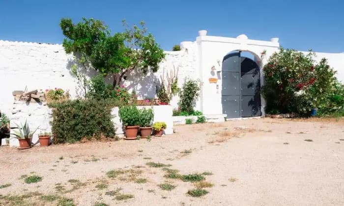 Rexer-Brindisi-Masseria-del-Esterno