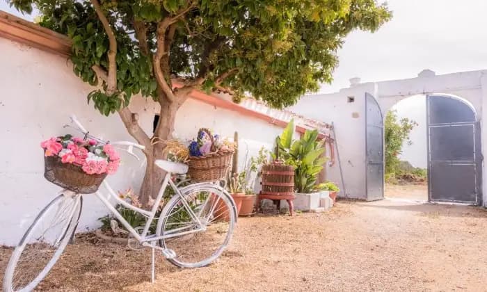 Rexer-Brindisi-Masseria-del-Cortile