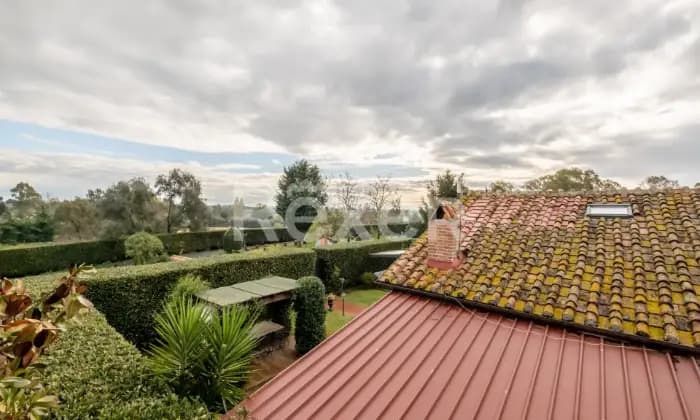 Rexer-Roma-Cassia-Ad-Olgiata-Altro
