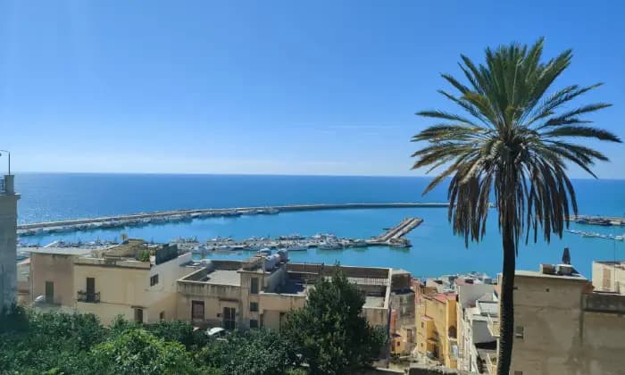 Rexer-Sciacca-Vista