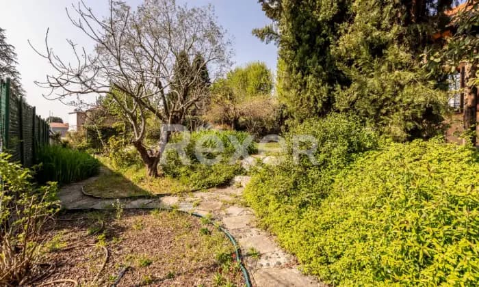 Rexer-Camparada-Ampia-Villa-Altro