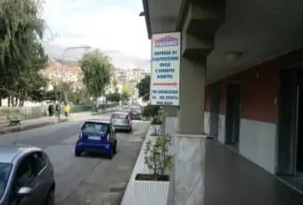 Rexer-Scalea-Giardino