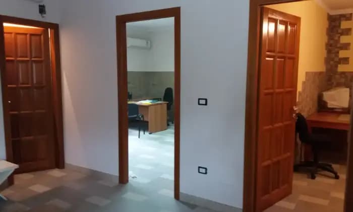 Rexer-Scalea-Altro