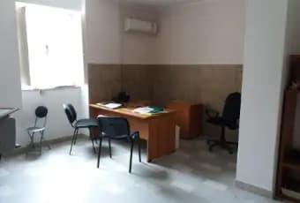 Rexer-Scalea-Altro