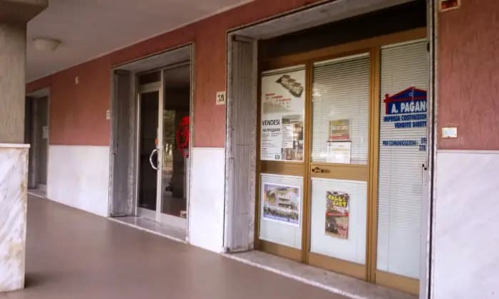 Rexer-Scalea-Altro