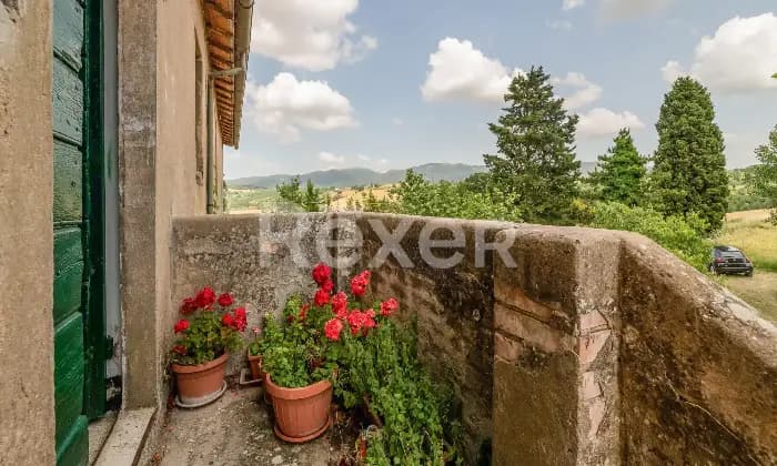 Rexer-Todi-Azienda-agraria-Altro