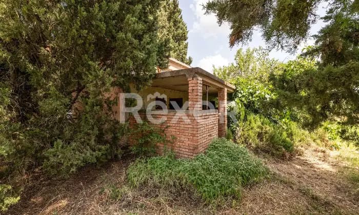 Rexer-Todi-Azienda-agraria-Altro