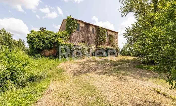 Rexer-Todi-Azienda-agraria-Altro