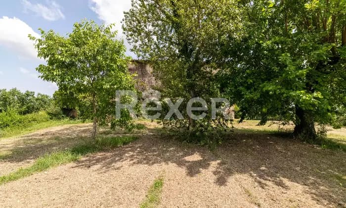 Rexer-Todi-Azienda-agraria-Altro