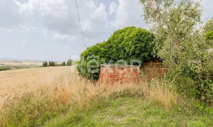 Rexer-Todi-Azienda-agraria-Altro