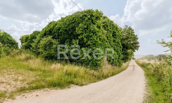 Rexer-Todi-Azienda-agraria-Altro