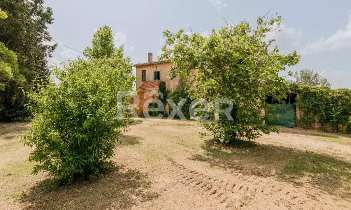 Rexer-Todi-Azienda-agraria-Altro