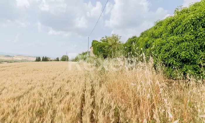 Rexer-Todi-Azienda-agraria-Altro