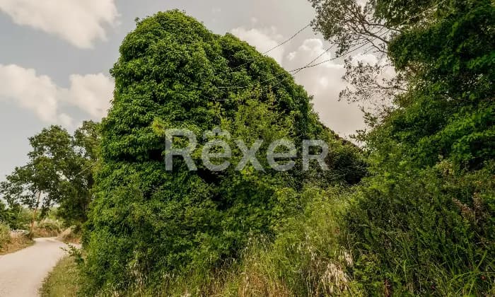 Rexer-Todi-Azienda-agraria-Altro