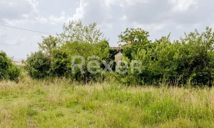 Rexer-Todi-Azienda-agraria-Altro