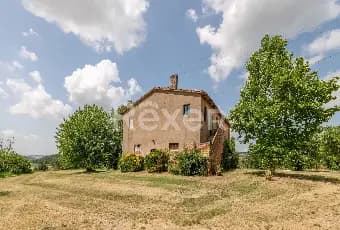 Rexer-Todi-Azienda-agraria-Altro