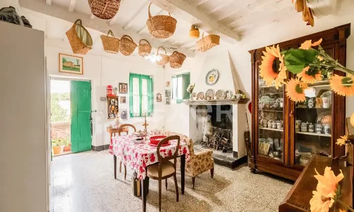 Rexer-Todi-Azienda-agraria-Altro
