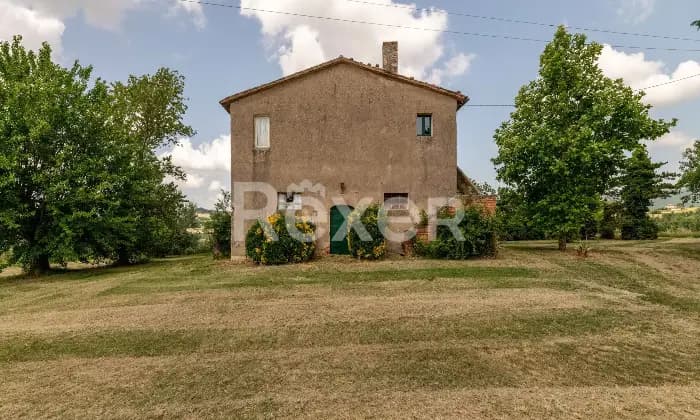 Rexer-Todi-Azienda-agraria-Altro