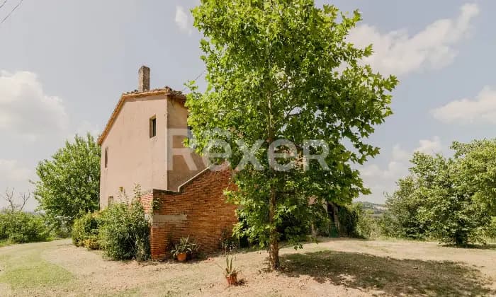 Rexer-Todi-Azienda-agraria-Altro