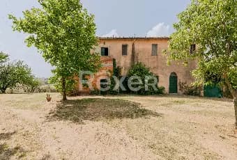 Rexer-Todi-Azienda-agraria-Altro