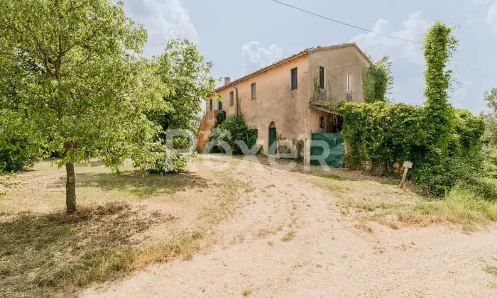 Rexer-Todi-Azienda-agraria-Altro