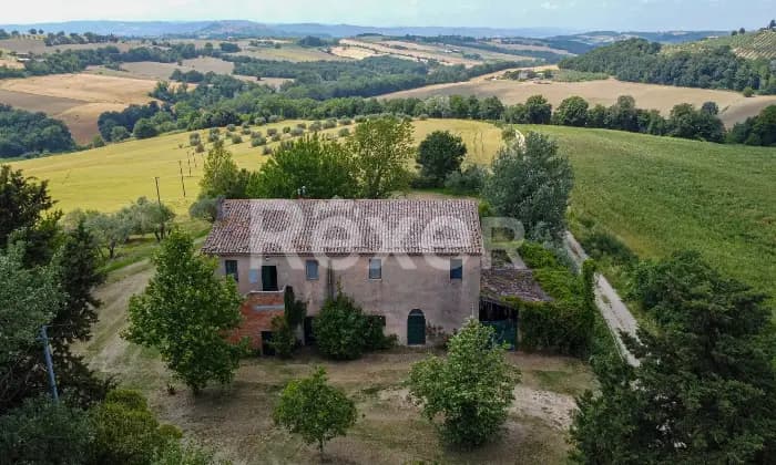Rexer-Todi-Azienda-agraria-Altro